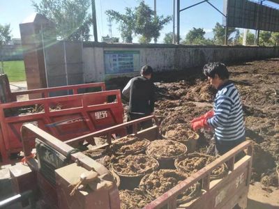 順豐洱海環(huán)保股份榮膺“云南省百戶(hù)優(yōu)強(qiáng)民營(yíng)企業(yè)”稱(chēng)號(hào)，生物質(zhì)能技術(shù)服務(wù)引領(lǐng)綠色新篇章