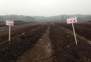 微生物肥料 綠色農(nóng)業(yè)的新引擎，生物質(zhì)能技術(shù)服務(wù)的市場(chǎng)價(jià)值